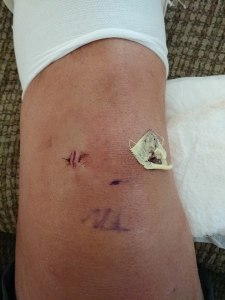 12043091_10153059870755812_6213009096300356819_n