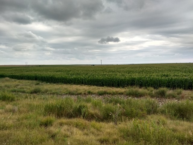 IMG_20170812_141900841_HDR